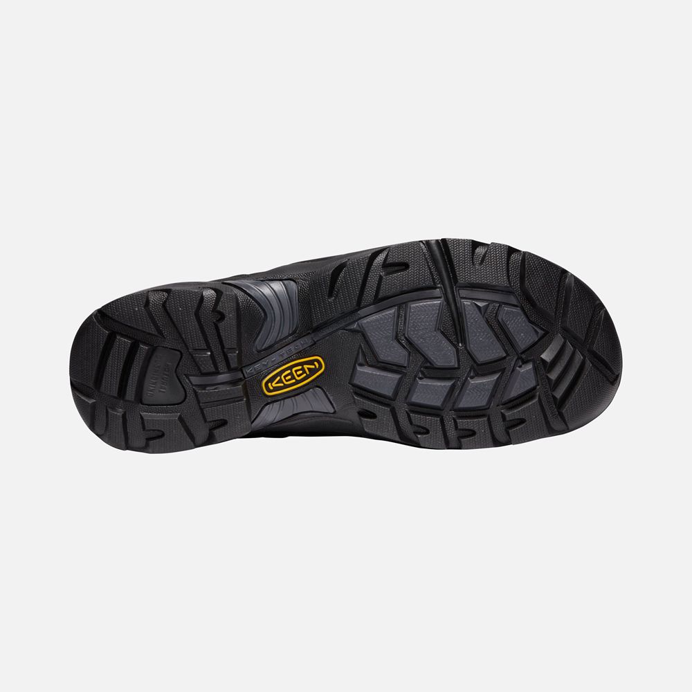 Keen Laarzen Heren Zwart - St. Paul 6\" Wp (Carbon-Fiber Toe) - 37468-MWNO